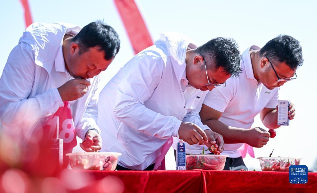 全鲨银鲨下载